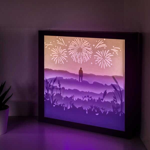 Boîte à lumière inspirée des fleurs sauvages BTS RM – Cadeaux pour les amateurs de Kpop – Cadeau BTS – Accessoires de bureau BTS – Décoration de chambre BTS