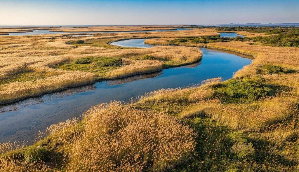 3 lieux incontournables à Suncheon