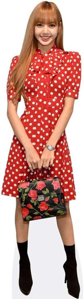 Avis sur la silhouette en carton grandeur nature Lisa (Blackpink) (Polka Dot)