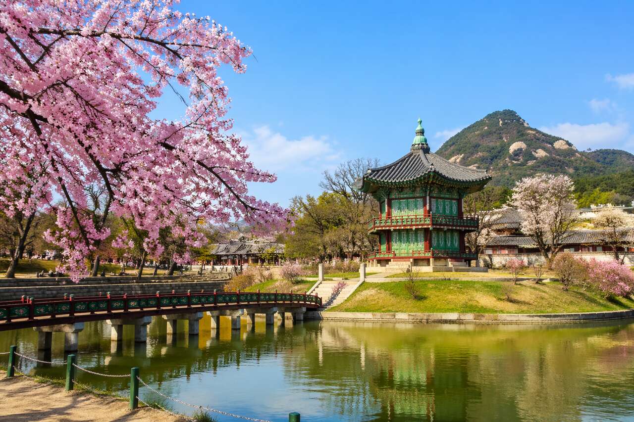 Que ramener de Corée du Sud dans ses valises ?