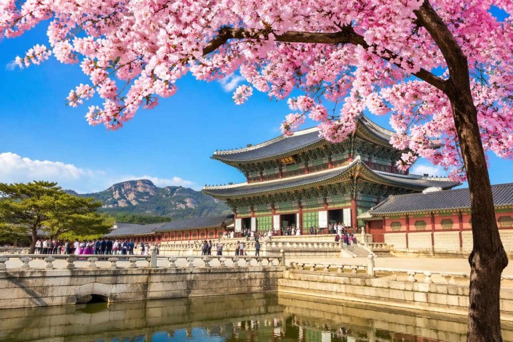 Les saisons en Corée du Sud : un voyage à travers le temps